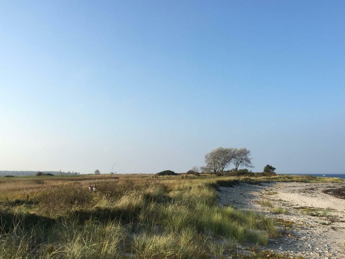 Seesucht-Hohwacht - 110Qm Fewo Mit Toller Lage Am Kiefernweg Exterior foto